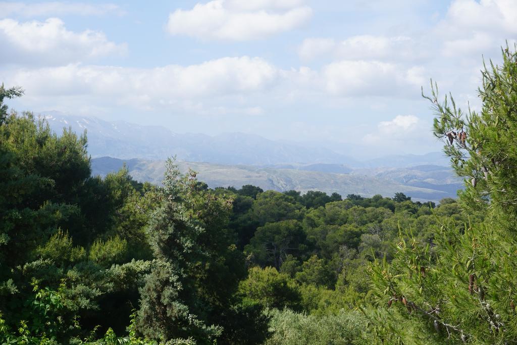 מלון חאניה Monte Vardia חדר תמונה